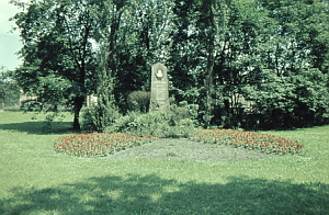 Senftenberg